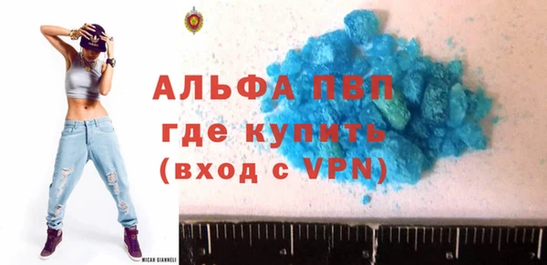 шишки Беломорск