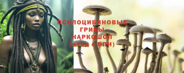 ГАЛЛЮЦИНОГЕННЫЕ ГРИБЫ Куйбышев