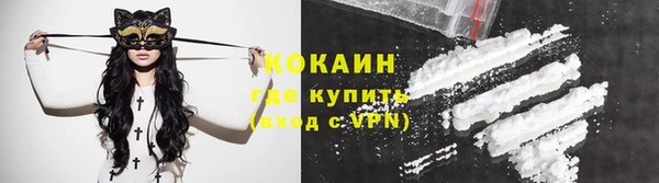 шишки Беломорск