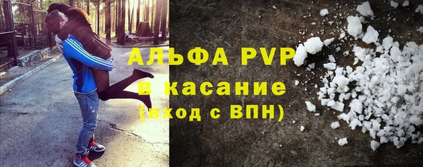 шишки Беломорск